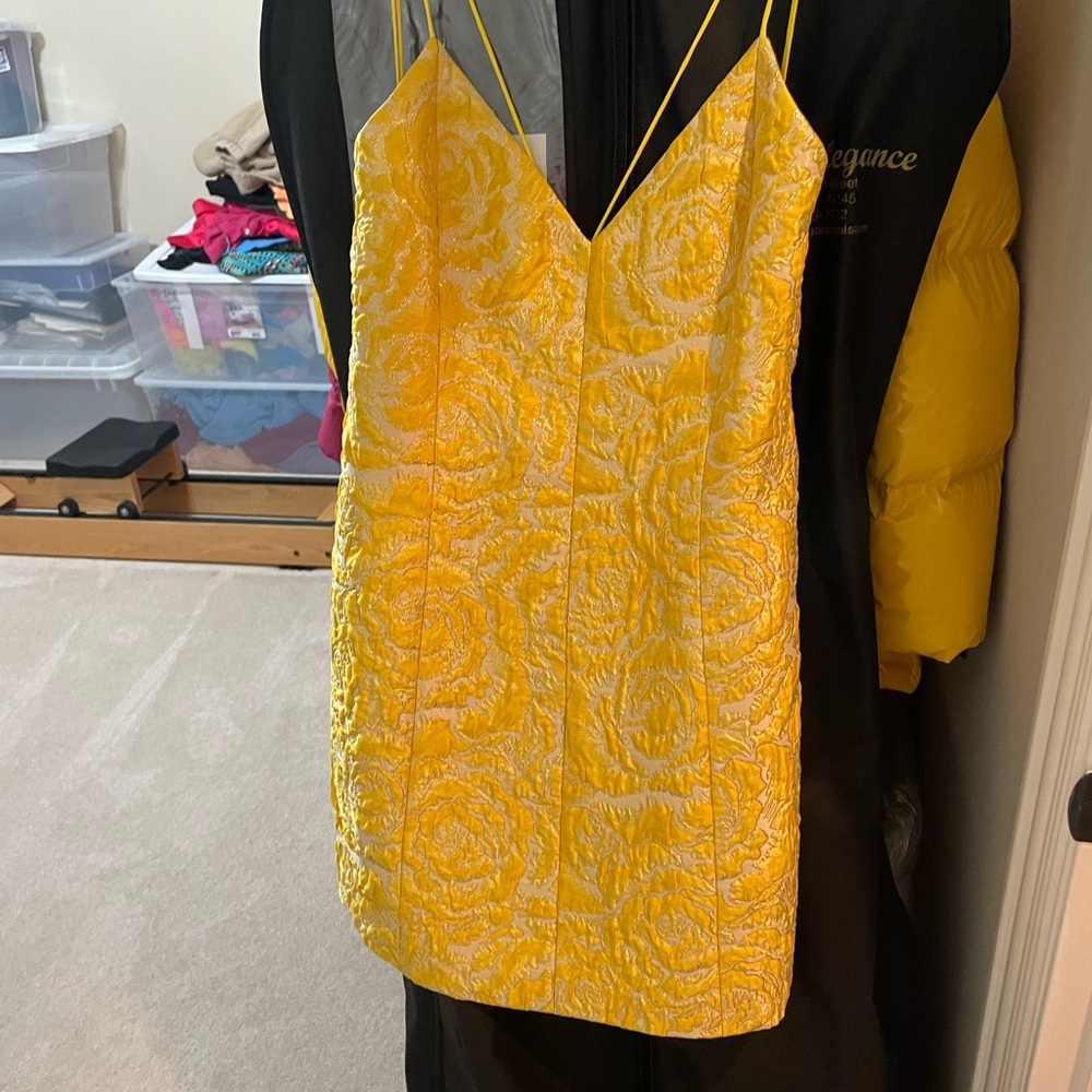 Alice & Olivia dress